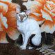 Кот кудрявый Корниш Рекс продается в Челябинске